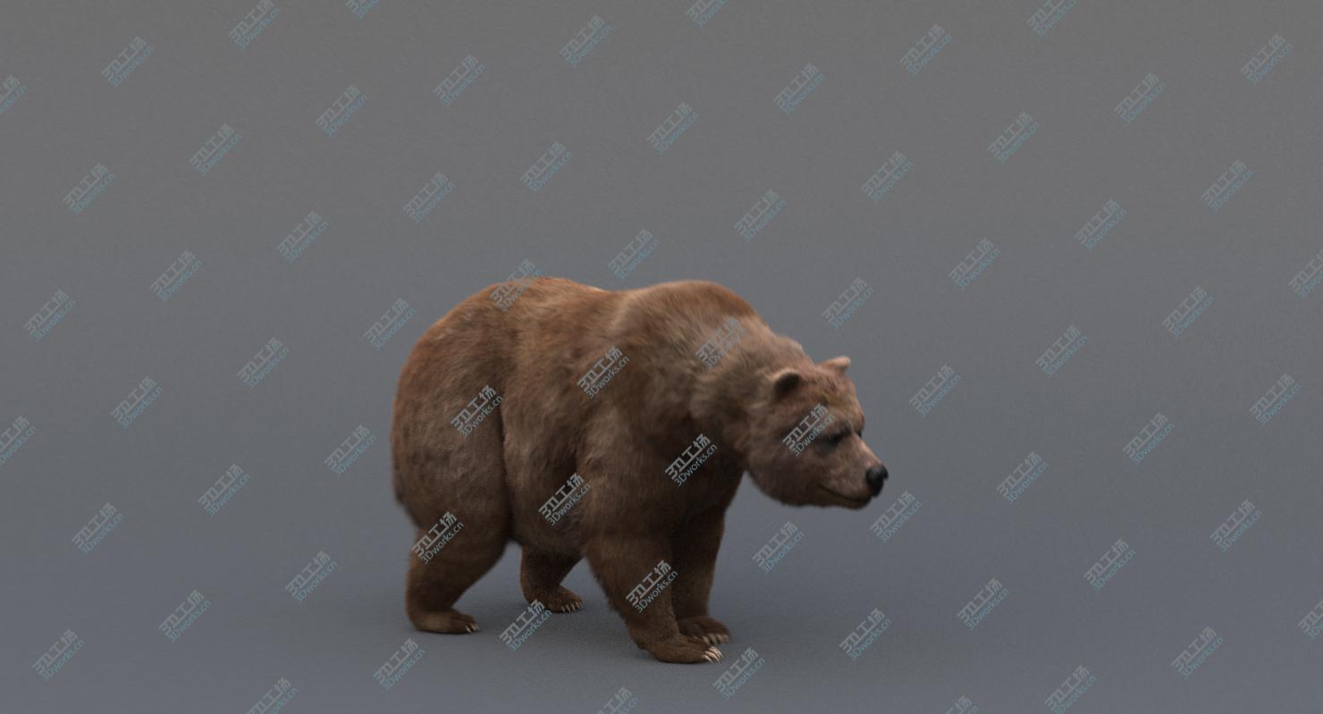 images/goods_img/202104091/3D model Bear Animated/4.jpg